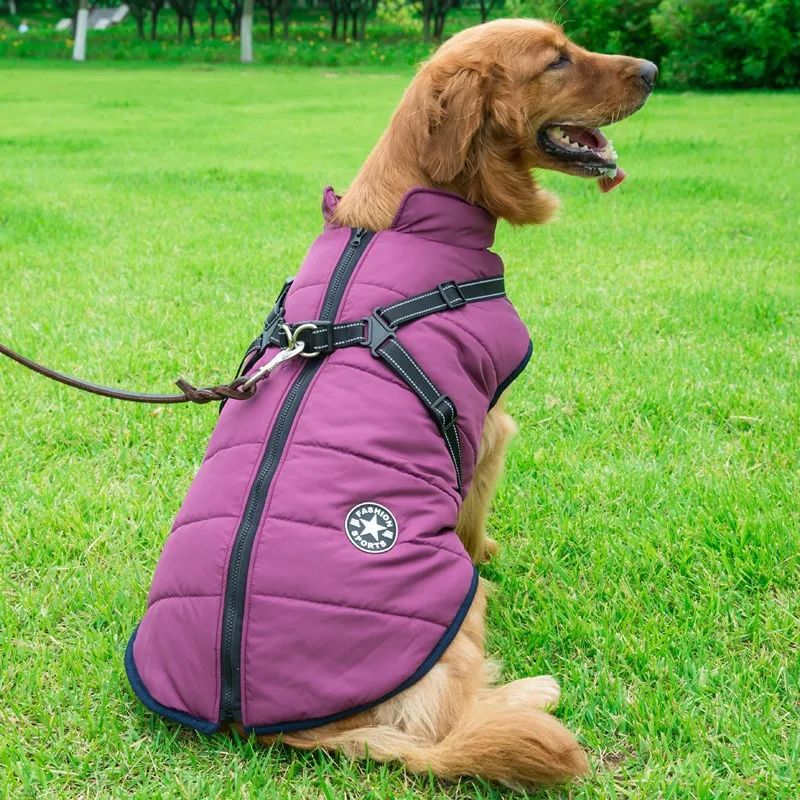 Jaqueta grande para cães de estimação com arnês inverno roupas quentes para